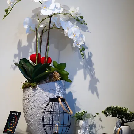 Apartman Impulses Idromassaggio Barletta