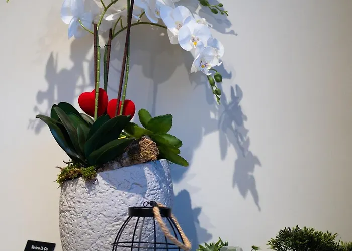 Apartment Impulses Idromassaggio Barletta